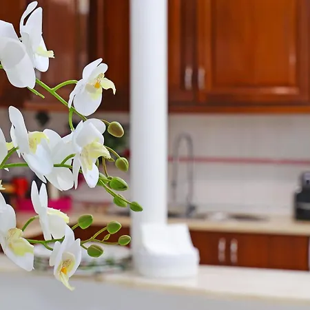 Appartement Downtown Lisboa